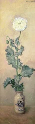 White Poppy